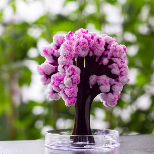 Magic Sakura Blooming Tree